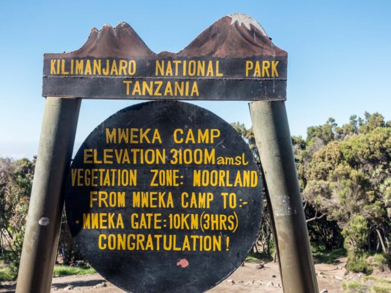 Kilimanjaro Trekking